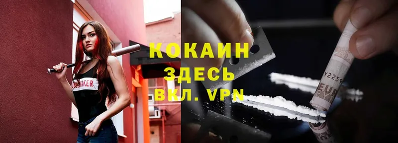 Cocaine Fish Scale  darknet Telegram  Ирбит 