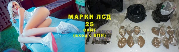 ECSTASY Медногорск