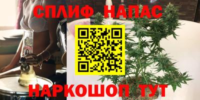 скорость Дубна