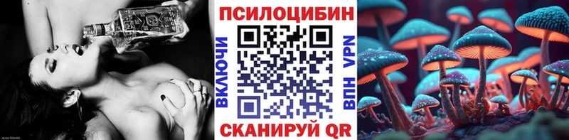 KRAKEN как войти  Ирбит  Псилоцибиновые грибы Magic Shrooms 