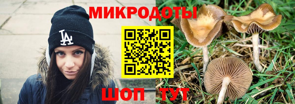 Галлюциногенные грибы MAGIC MUSHROOMS  Вход с VPN  Галлюциногенные грибы MAGIC MUSHROOMS  Ирбит 